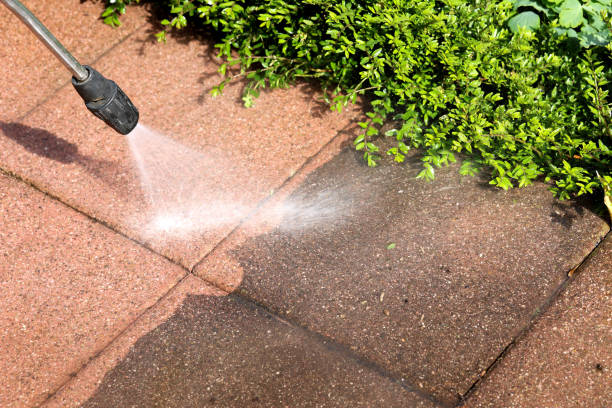 Best Exterior Home Cleaning  in Irvine, KY